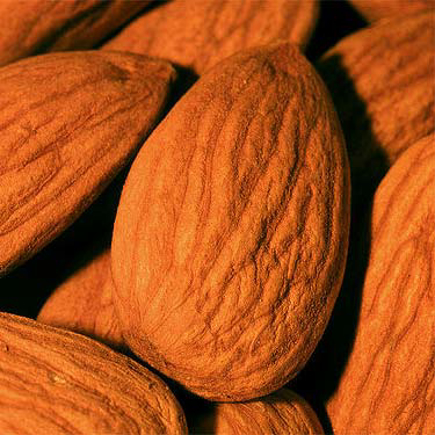 Picture of Almond PG