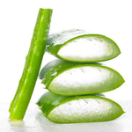 Image de Aloe Vera PG