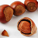 Picture of Hazelnut PG