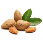 Picture of FlavourArt Almond Flavor 10ml