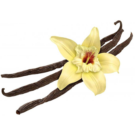 Picture of FlavourArt Vanilla Classic Flavor 10ml