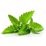 Picture of FlavourArt Spearmint Flavor 10ml