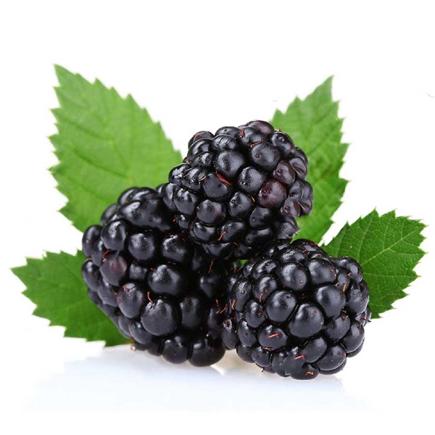 Picture of FlavourArt Blackberry Flavor 10ml