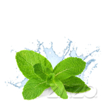 图片 ZAZO 10ml Fresh Mint Liquid